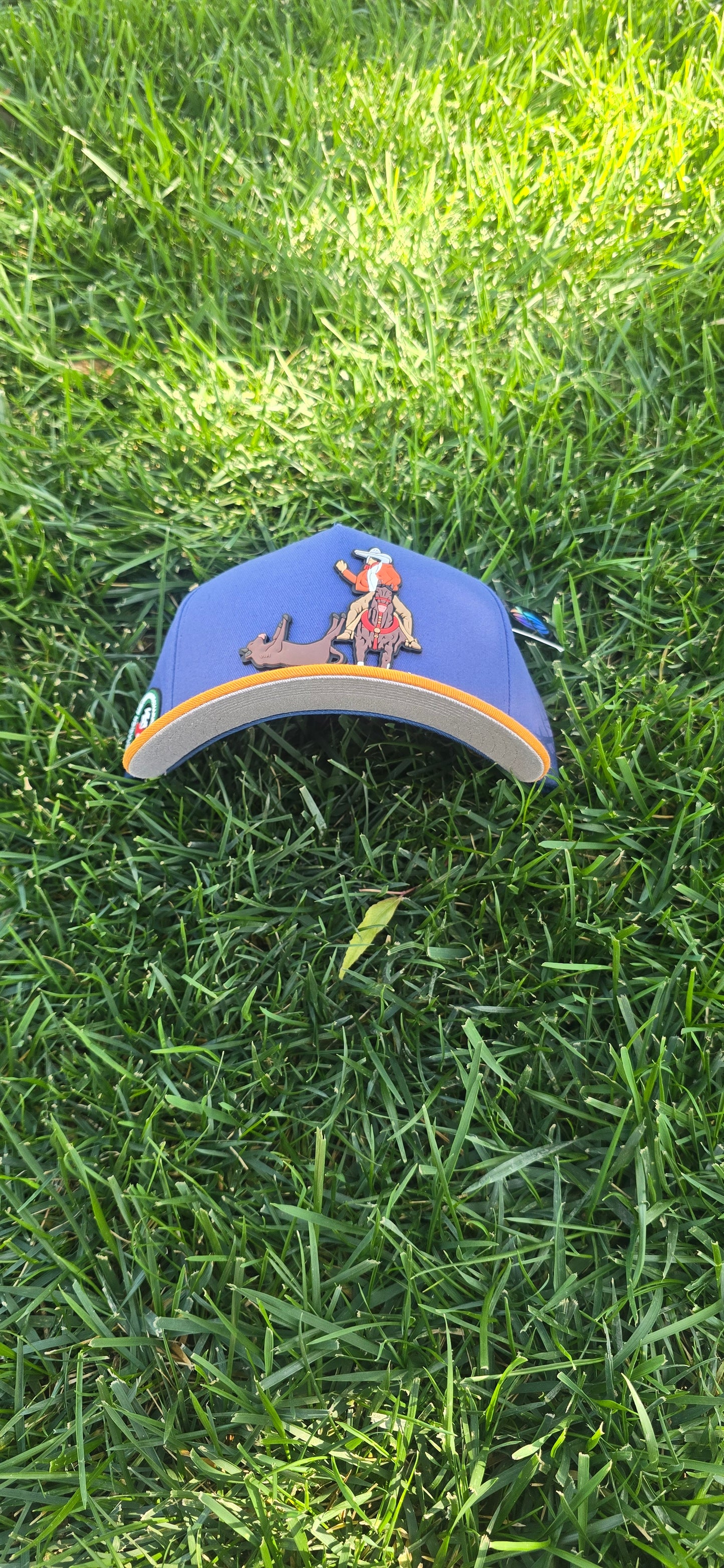 Coleadero Classico Federado