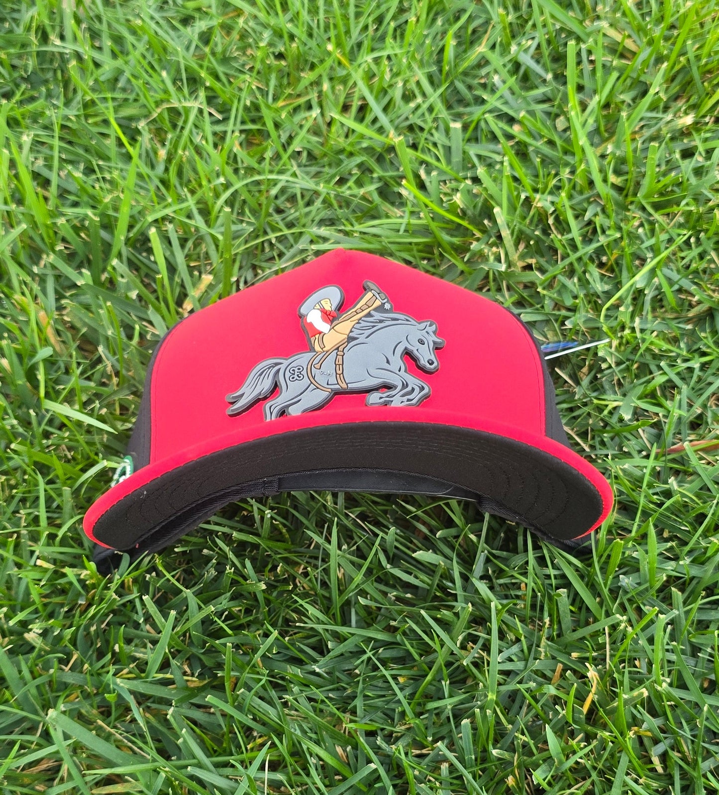 Jineteo De Yegua Dryfit Federado