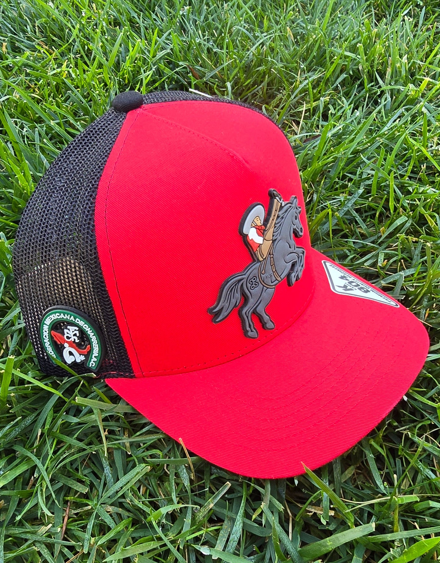 Jineteo De Yegua Copa De Maya Federado