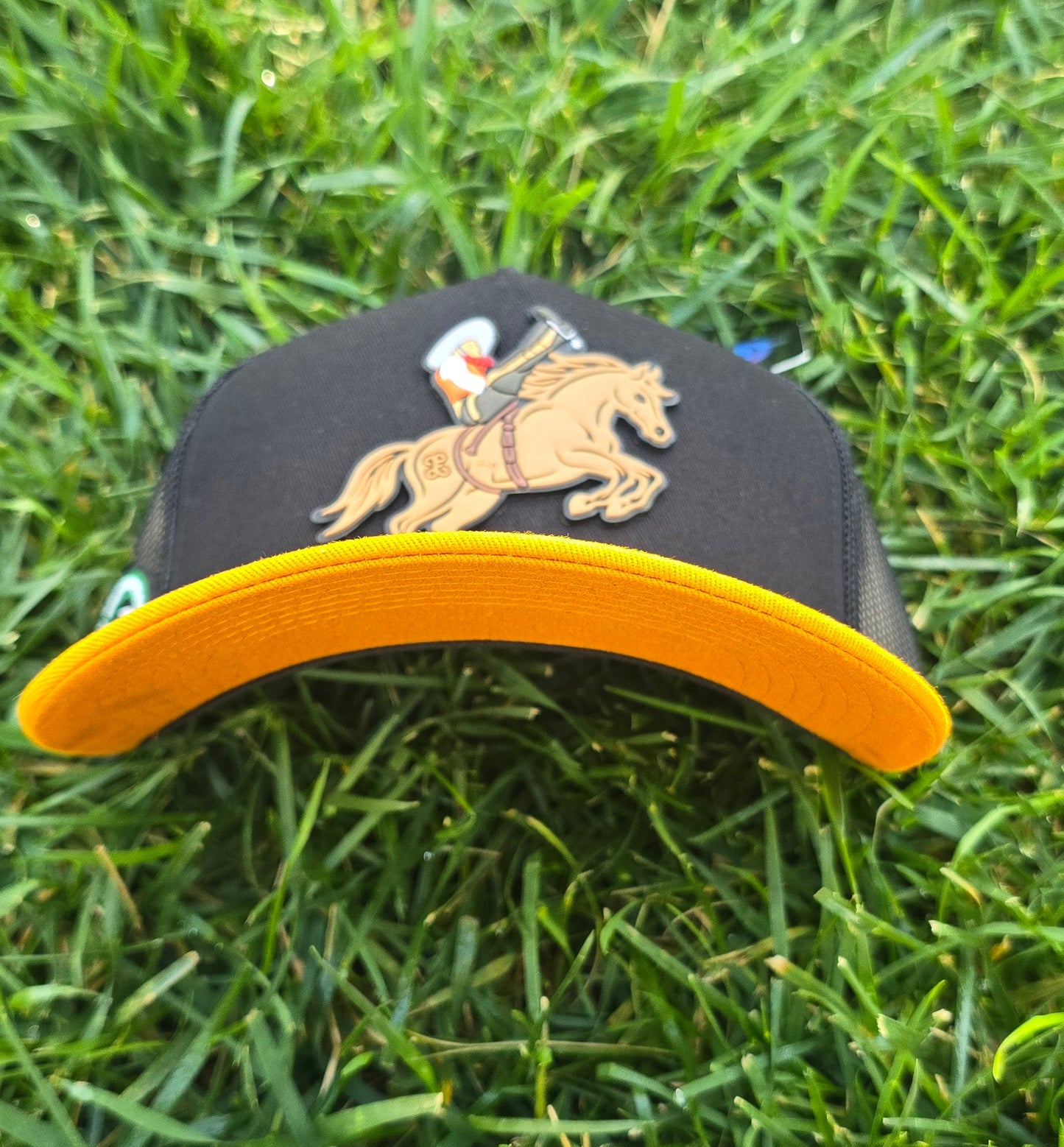 Jineteo De Yegua Copa De Maya Federado